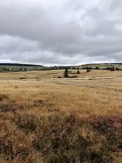 Božídarské rašeliniště