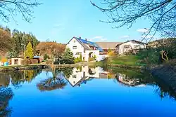 Návesní rybník v Bražci