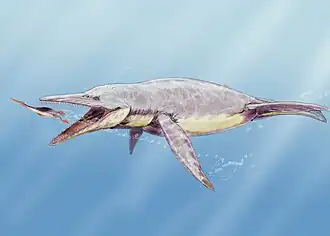 alternativní popis obrázku chybí