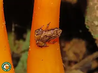 popis obrázku chybí