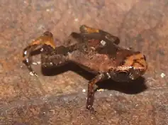 popis obrázku chybí