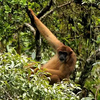 alternativní popis obrázku chybí