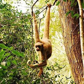 alternativní popis obrázku chybí