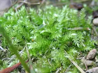 alternativní popis obrázku chybí