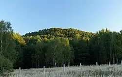 Brada od severu, za plotem obory Židlov