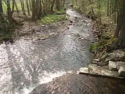 Říčka u Spáleného Poříčí