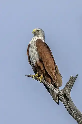 alternativní popis obrázku chybí