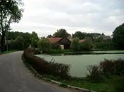 Rybník v Branišově