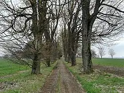 Cesta na Větrný Jeníkov