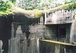 Branná, StM-S 50 (rok 2003; 02).jpg