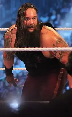 Bray Wyatt v roce 2014
