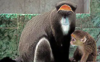 alternativní popis obrázku chybí