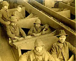 Chlapci u drtičky, důl Eagle Hill, Pensylvánie, asi 1884