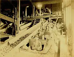 Chlapci u drtičky, důl North Ashland, asi 1884