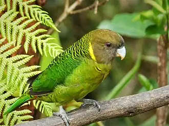 alternativní popis obrázku chybí