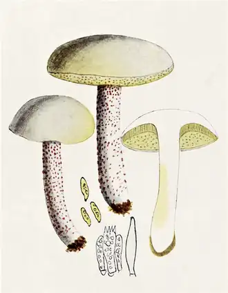 alternativní popis obrázku chybí