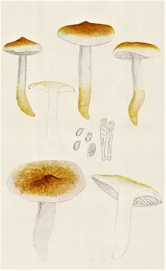alternativní popis obrázku chybí