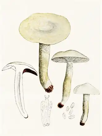 alternativní popis obrázku chybí