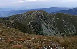 Brestová ze Salatín