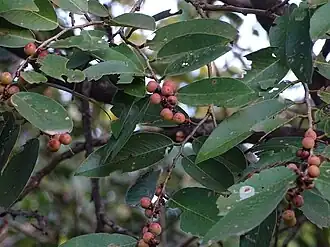 alternativní popis obrázku chybí