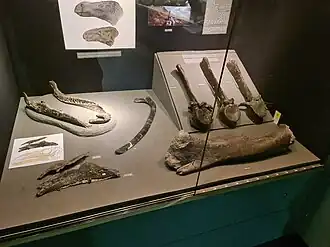 popis obrázku chybí