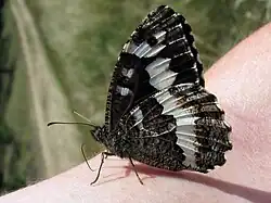 alternativní popis obrázku chybí