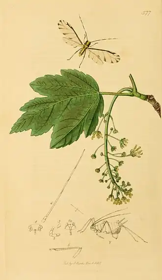 popis obrázku chybí