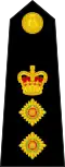 Plukovník – Colonel – British Royal Marines