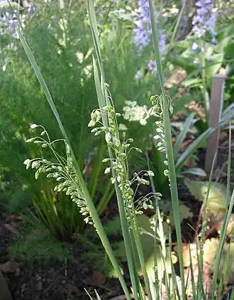 alternativní popis obrázku chybí