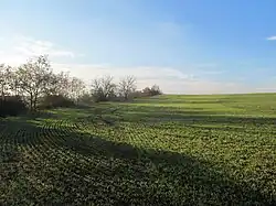 Brloh hradiště.jpg