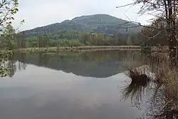 Tlustec od Brništského rybníka