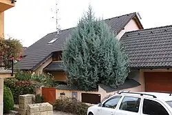 Rodinný dům v Brně-Ivanovicích, v němž k vraždě došlo