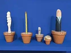 Dům umění města Brna, výstava Mám kořeny v květináči