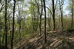 Výhled na Žabovřesky a Komín překrytý porostem