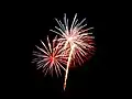Ignis Brunensis 2008, ohňostroj 31. května