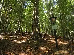 Přírodní památka Brodská