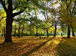 Brodziansky park na podzim