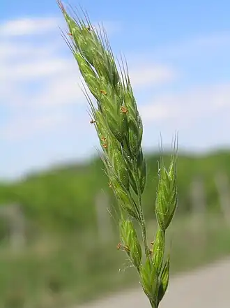 alternativní popis obrázku chybí