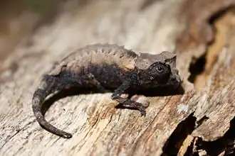 alternativní popis obrázku chybí