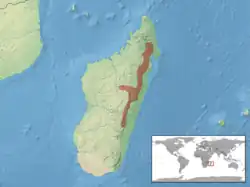 Areál rozšíření