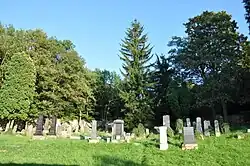 Brtnice-horní-židovský-hřbitov2011a.jpg