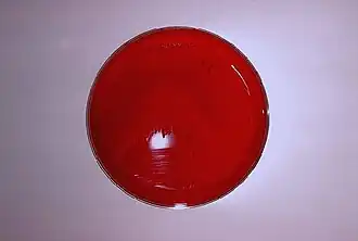 alternativní popis obrázku chybí