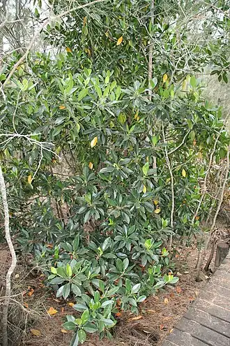 alternativní popis obrázku chybí