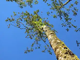 alternativní popis obrázku chybí