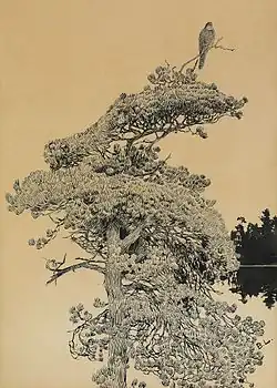 Sokol na špičce stromu