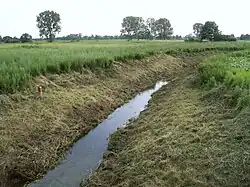 Zimna Woda na okraji Brwinówa a Biskupic