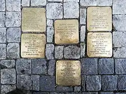 Kameny zmizelých rodiny Brychovy - celkový pohled