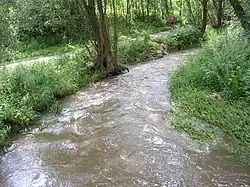 Brzina u Smetákova mlýna