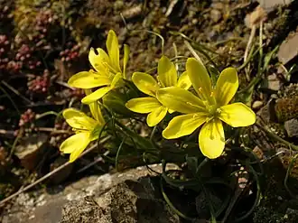 alternativní popis obrázku chybí