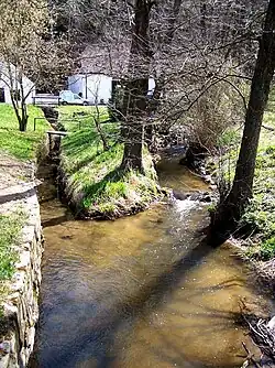 Klenský potok u Buškova Hamru